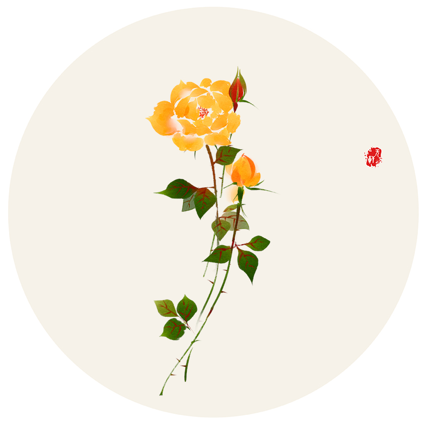 （6）黄玫瑰30x30
